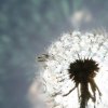 20060605_pfingstmontag_004
