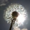 20060605_pfingstmontag_006